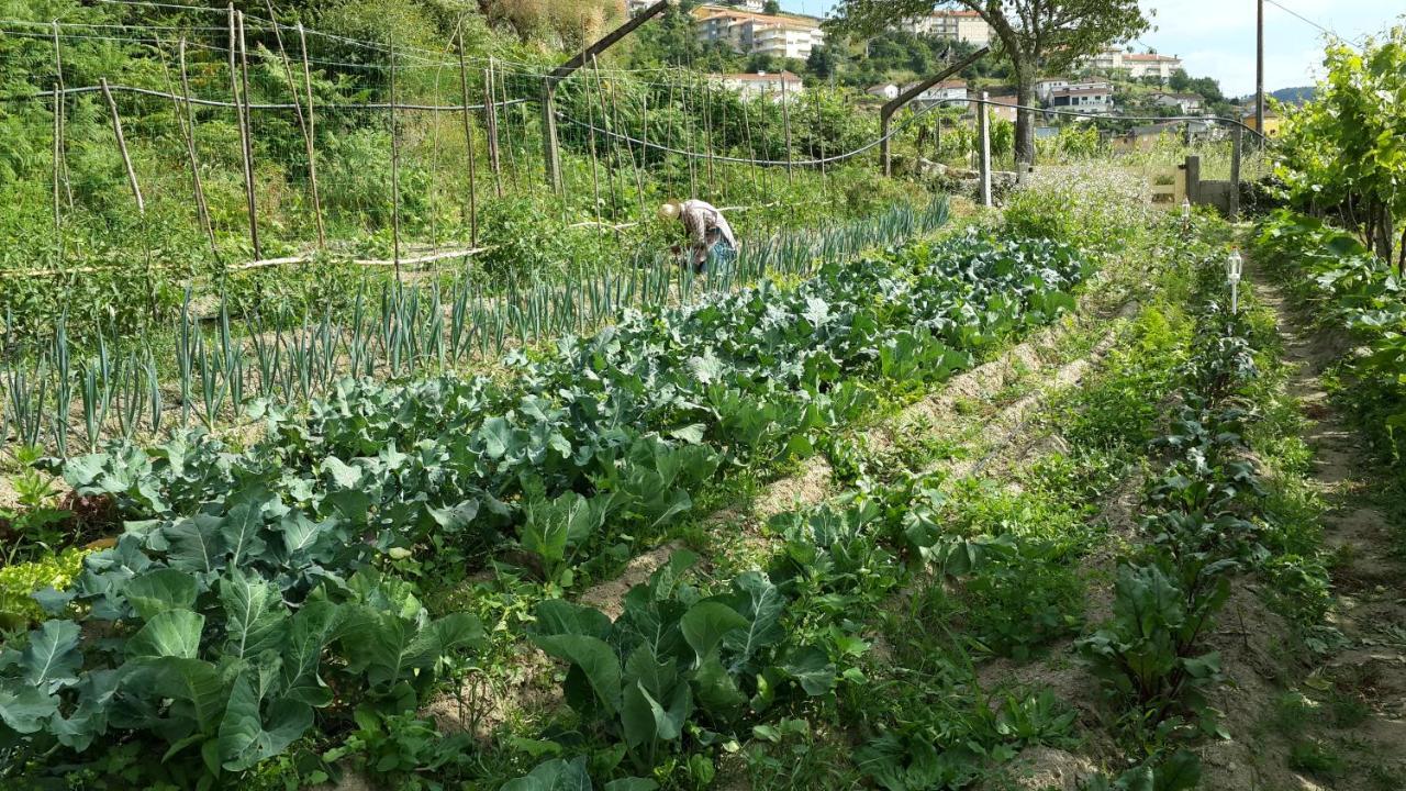 Verde Agua Agroturismo E Agricultura Biologica Couto Ngoại thất bức ảnh