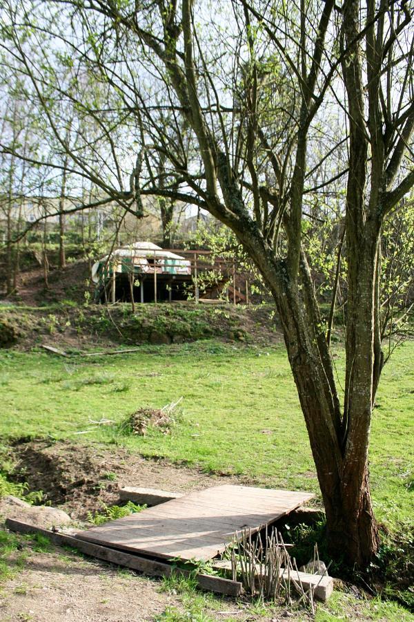 Verde Agua Agroturismo E Agricultura Biologica Couto Ngoại thất bức ảnh