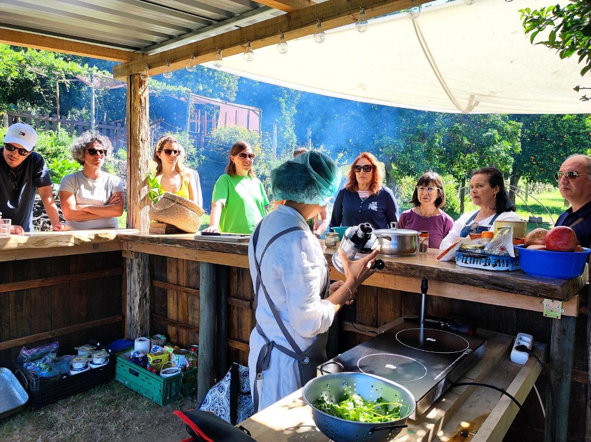 Verde Agua Agroturismo E Agricultura Biologica Couto Ngoại thất bức ảnh